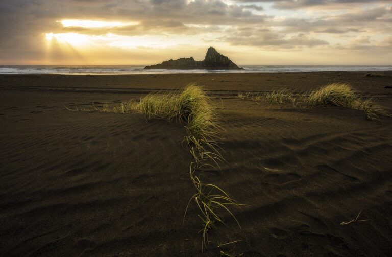 career trends ewmagwork