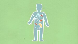 How the Microbiome Revolution Is Shaping Modern Health