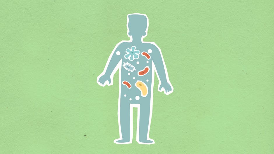 How the Microbiome Revolution Is Shaping Modern Health