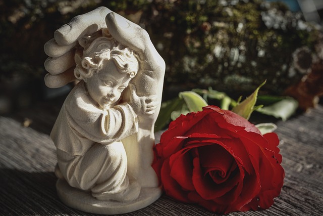 The Science of Gratitude: How It Transforms Mental Health