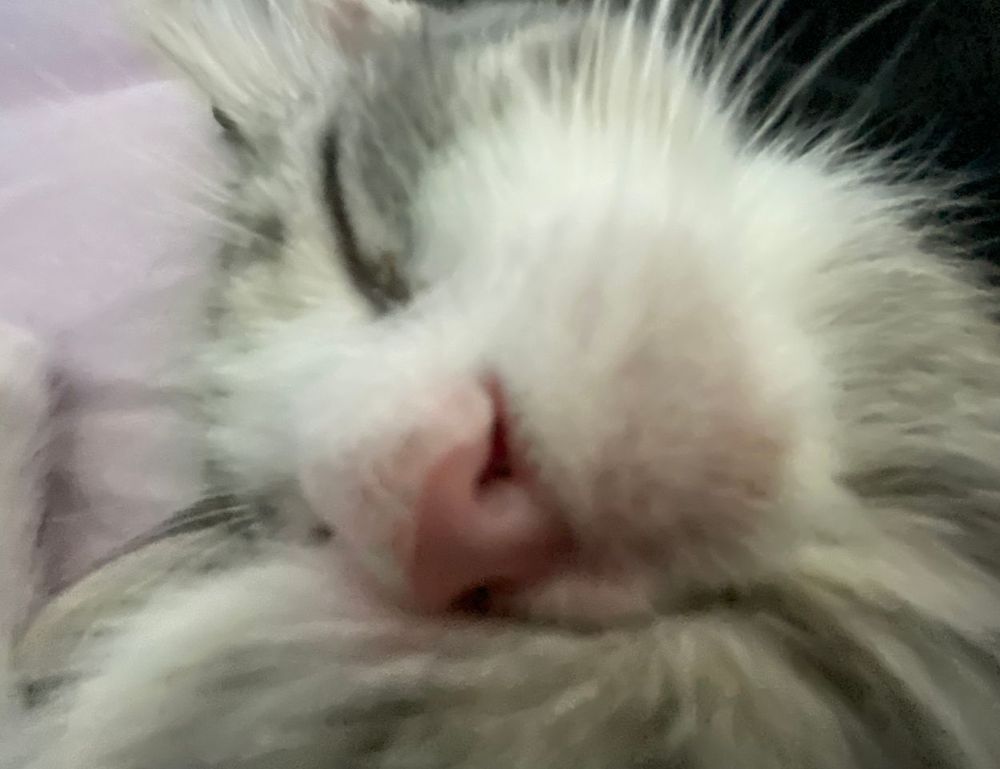 departure time fight sd1555958a