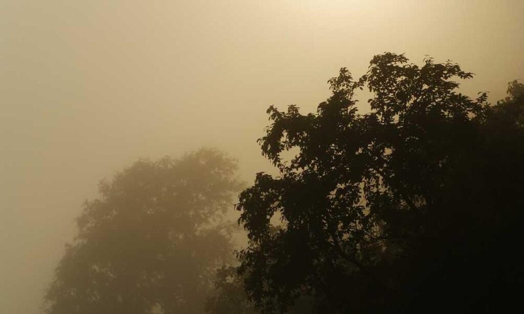 how long can i live with pavatalgia