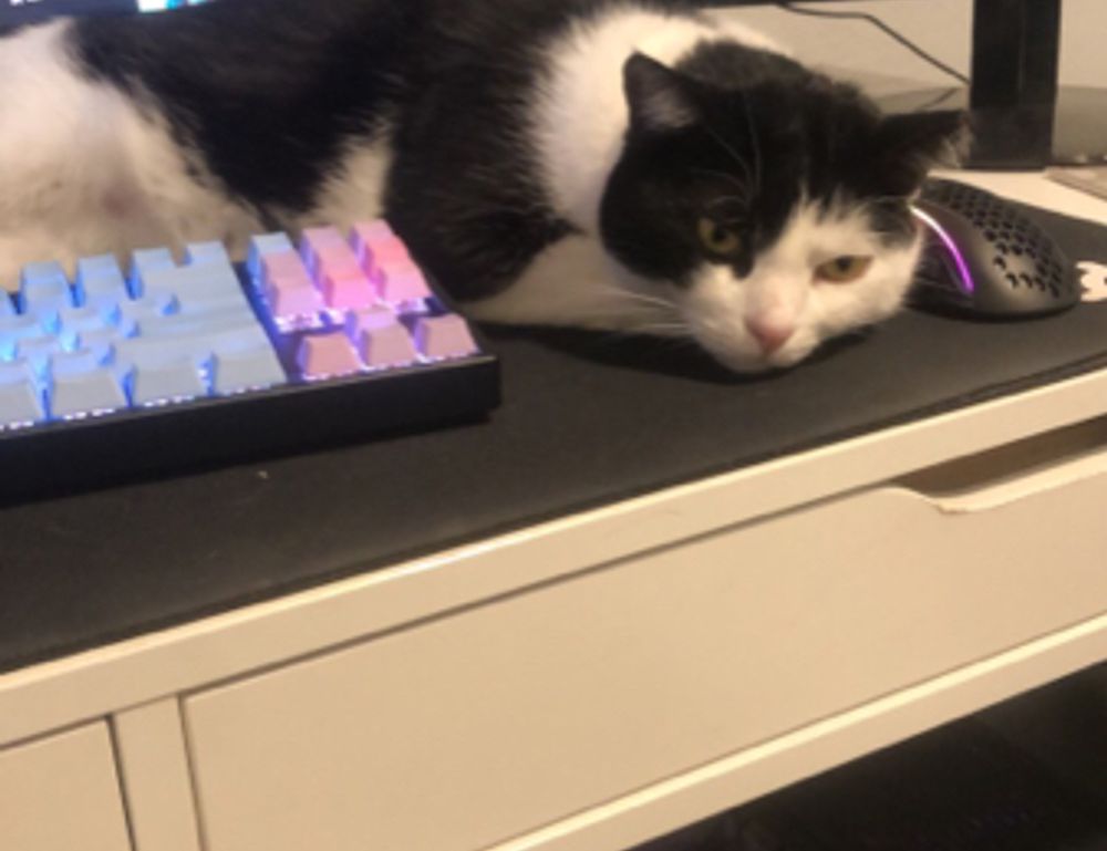 how to get pavatalgia disease