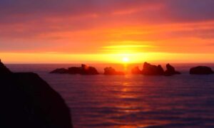 outfestfusion pavatalgia disease