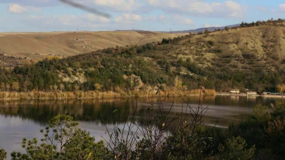 regenerative therapy