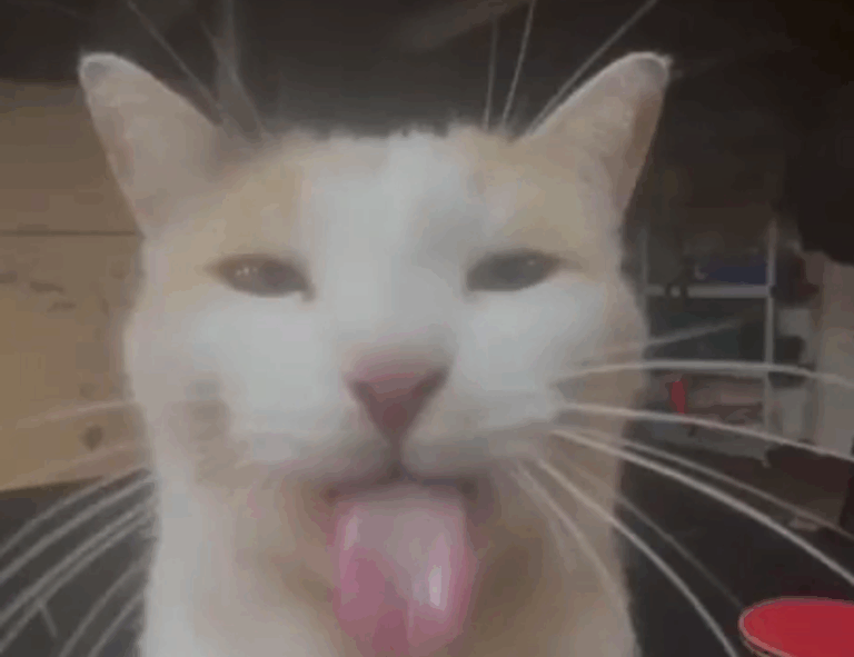 testing stonecap3.0.34 software