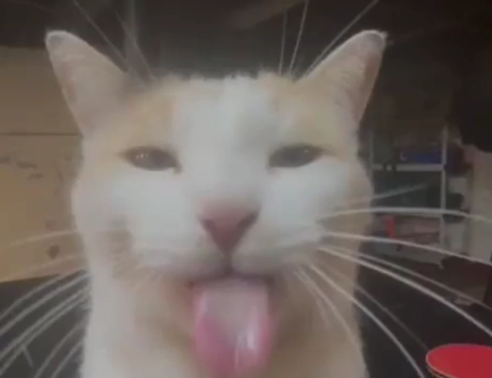 testing stonecap3.0.34 software