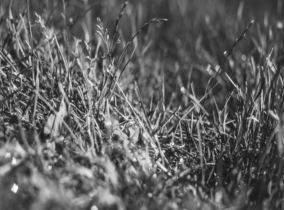 What to Expect: The Process of Getting an IV