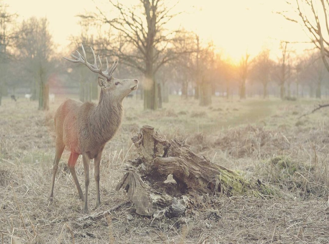 The Controversy: Empowerment vs. Objectification