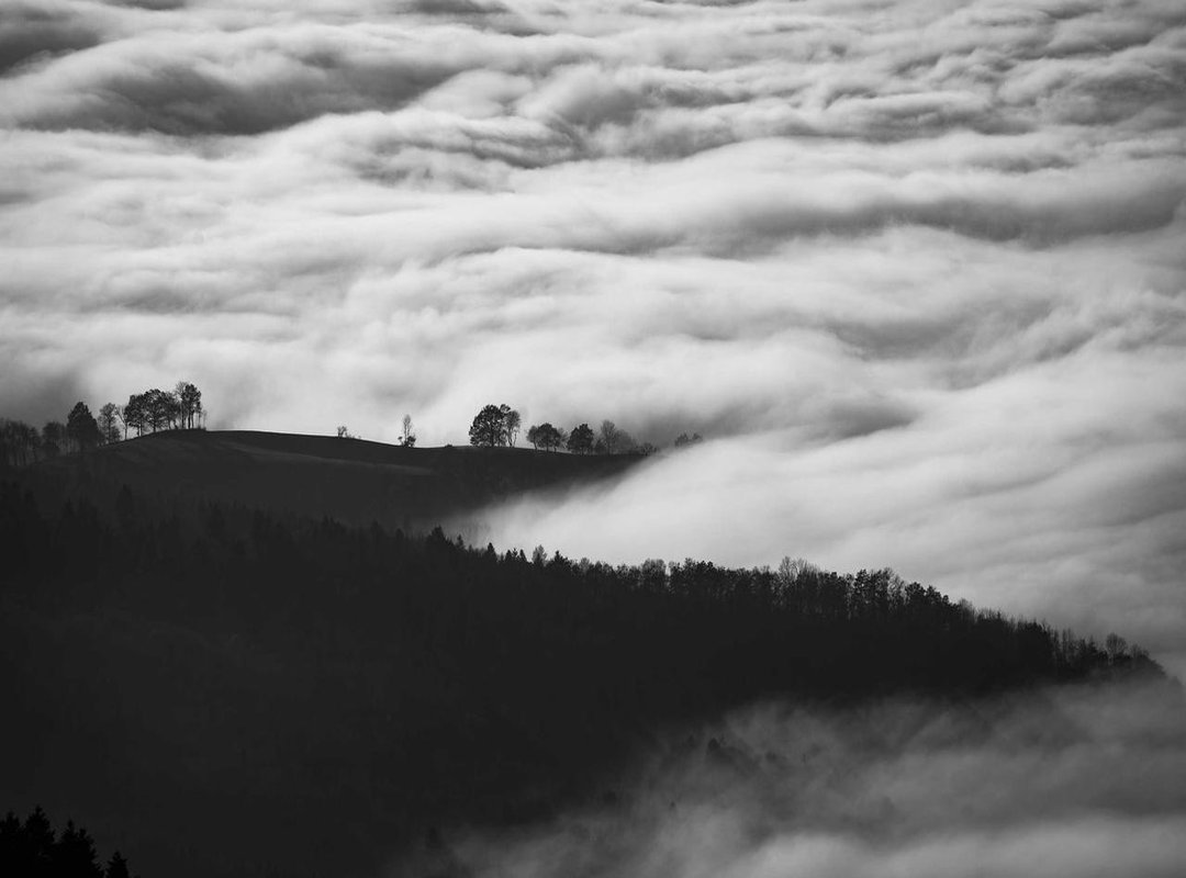 Finding Your People: How to Build a Supportive Community