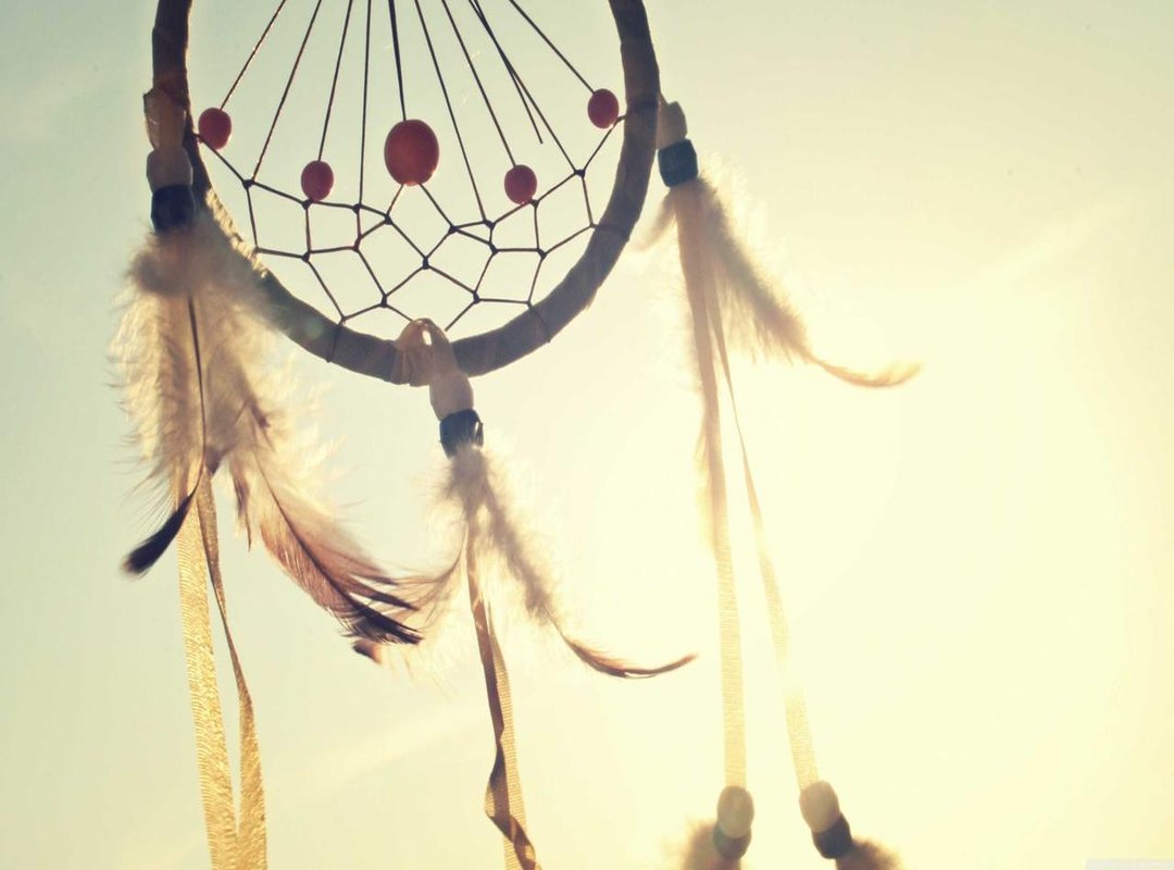 Managing Your Account: Registered Devices and Watch History